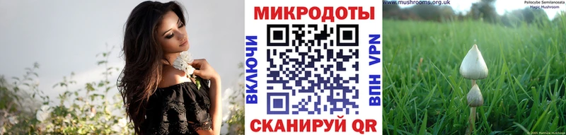 Галлюциногенные грибы Psilocybine cubensis  где купить   Чебаркуль 