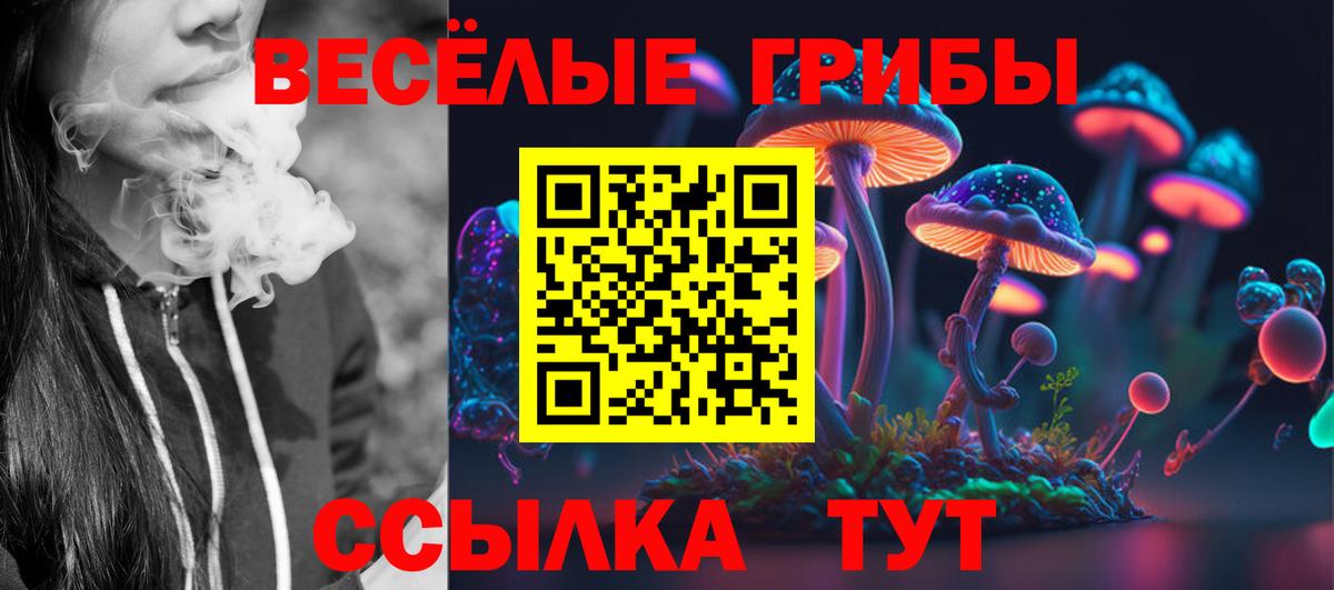 Псилоцибиновые грибы GOLDEN TEACHER Чебаркуль